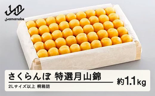 
            《先行予約》2026年 山形県産 特選月山錦 桐箱詰め約1100g やまのべ多田耕太郎のさくらんぼ サクランボ F20A-064
          