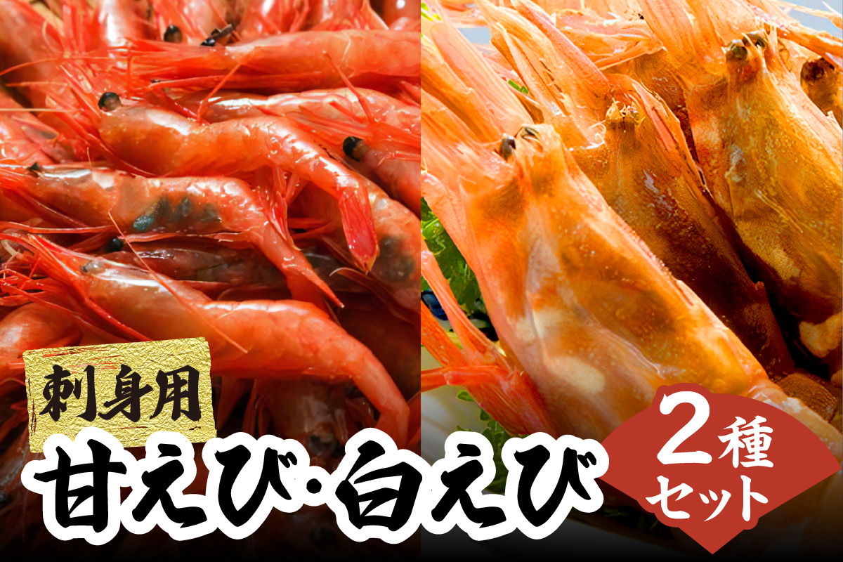 兵庫県香住産 エビのお楽しみセット 白えび 甘えび 合計1.6kg 冷凍 【令和8年9月以降発送予定】 日本海 香住 柴山 水揚げ 国産 甘エビ 白エビ えび エビ 海老 2種 食べ比べ 鮮度抜群 急速冷凍 新鮮 旨み お刺身 焼き物 塩ゆで フライ 唐揚げ 鍋物 海鮮丼 プレゼント 贈答 お祝い ギフト 贈り物 大人気 ふるさと納税 返礼品 おすすめ 兵庫県 香美町 宿院商店 33-09