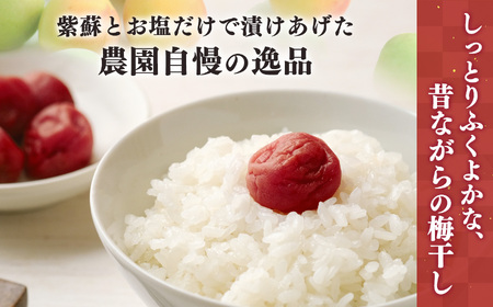 有機栽培　小梅しそ漬け梅干 800g