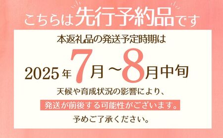 【2025年　先行予約】山梨県産　桃約２㎏（6～8玉） 山梨　桃　もも　モモ　フルーツ　ピーチ