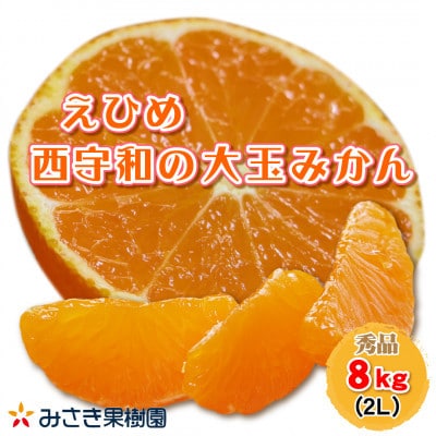 西宇和産大玉みかん2Lサイズ8kg【C21−40】【1623773】