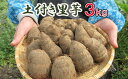 【ふるさと納税】 里芋 さといも おすすめ 土付き 里いも 約 3kg ／ サトイモ 里イモ 土垂 土垂れ 根菜 根菜類 旬 新鮮 期間限定 季節限定 野菜 季節野菜 季節物 秋野菜 土付 芋類 いも類 イモ類 煮物 芋煮 みそ汁 3キロ 産地直送 ポパイの家 岩手県 八幡平市 送料料無料