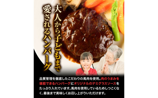 馬肉デミハンバーグ 200g×8個 計1.6kg 千興ファーム 馬肉  《60日以内に出荷予定(土日祝除く)》---sm_fsendemihan_60d_23_13500_8s---