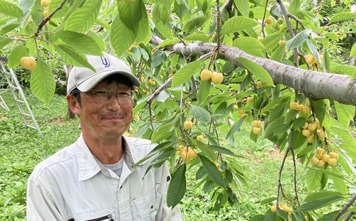 8-028-005　サトケンさんのさくらんぼ 佐藤錦（2L）600g
