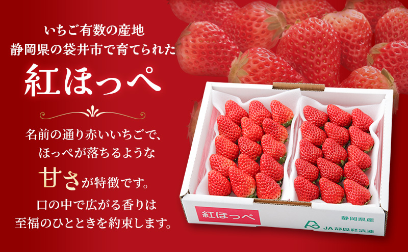 JA遠州中央 紅ほっぺ いちご 4パック 260g×4 遠中 静岡県 静岡 袋井市 袋井 イチゴ 苺 贈答 フルーツ 果物 くだもの 人気
