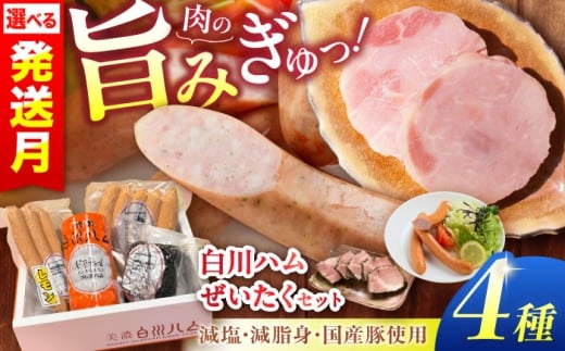 【通常発送】白川ハム 美濃白川ハム 4種セット（プレスハム・パストラミハム・ウインナー・レモンウインナー）ハム はむ ウインナー ういんなー ウィンナー うぃんなー ウインナー3本 詰め合わせ ハム詰め合わせ 白川町 / 白川町農業開発 [AWAH004]