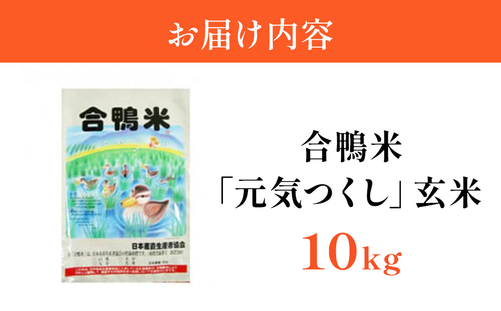 【先行予約】 令和8年産 合鴨米「元気つくし」（玄米・10kg）数量限定 BI21