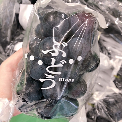8月下旬より順次発送予定！【長野県高森町】南信州産ナガノパープル 約1.2kg 信州 産地直送 果物 くだもの ぶどう 旬のぶどう パープル 株式会社マツザワ