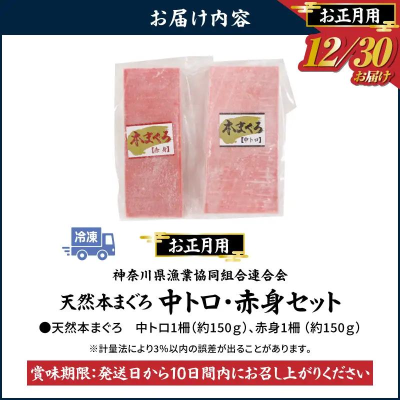 【 年内発送 】 神奈川県漁連 天然 本マグロ 中トロ ・ 赤身 セット 【 お正月 用 】 M077-013-03 冷凍 マグロ