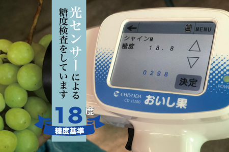 【糖度検査済】扇状地のシャインマスカット 2-5房 約2.1kg【2025年発送】 肥沃な大地と沢山の日光で育ったシャインマスカット【バイパス清果園】FN-Limited 206-012-FN