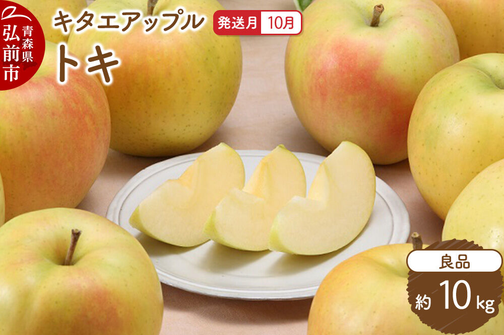 【26年10月発送】りんご トキ【良品】約10kg キタエアップル 青森県 弘前市 [先行予約 トキ りんご 贈り物 アップル おいしい 果実 果物 黄色 美味 林檎]