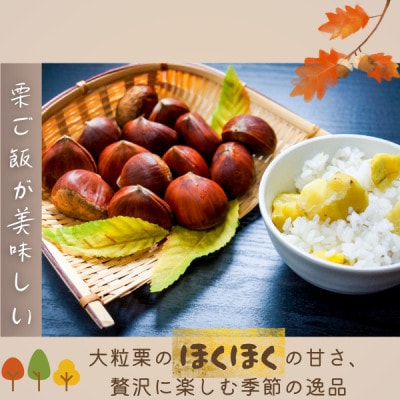 かすみがうら市産　生栗　3Lサイズ　3kg【配送不可地域：離島】【1437717】