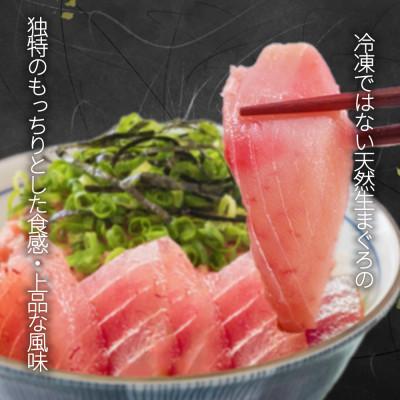 ふるさと納税 和歌山市 那智勝浦直送!天然もちもち生ビン長まぐろとたたきセット　2人前 |  | 03