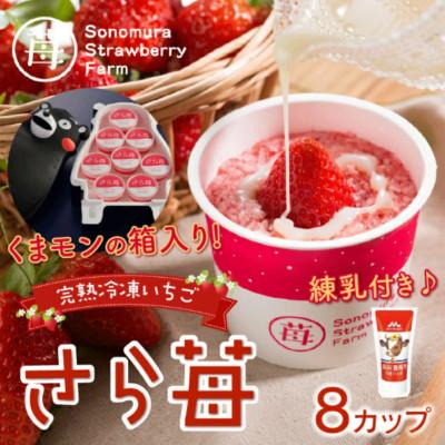 ふるさと納税 宇土市 熊本県宇土産 完熟冷凍いちご「さら苺」8カップ in くまモン 練乳付き 園村苺園