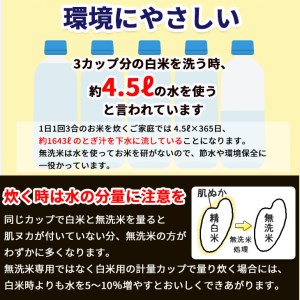 無洗米 10kg （5kg×2袋） 京都丹波産 ヒノヒカリ ※受注精米《米 白米 ひのひかり ふるさと納税 無洗米 亀岡そだち》 ※北海道・沖縄・離島への配送不可