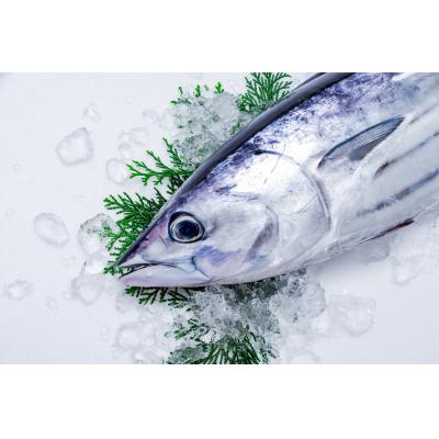 ふるさと納税 安田町 カツオのわら焼きタタキ　鰹たたき4節 |  | 02