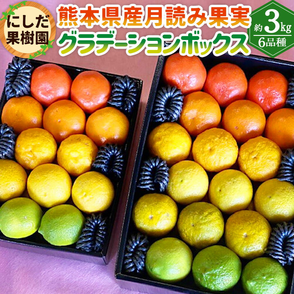 【ふるさと納税】にしだ果樹園の熊本県産 月読み果実 グラデーションボックス 6品種 約3kg 6種 詰め合わせ 詰合せ にしだ果樹園 柑橘 カボス みかん 密柑 スダチ 柚子 フルーツ 果実 果物 くだもの 化粧箱 常温 【2026年12月上旬発送開始】