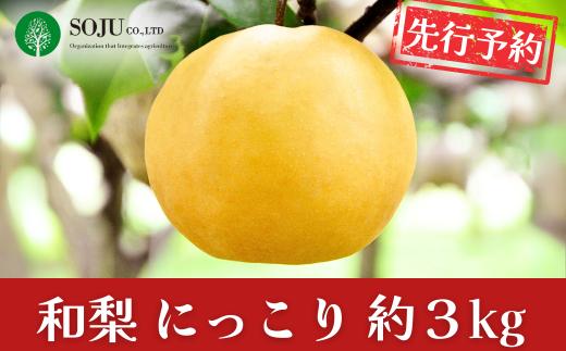 先行予約 和梨 にっこり 約3kg 令和8年度 にっこり梨 新潟県 三条市産 [三条果樹専門家集団]【010S868】