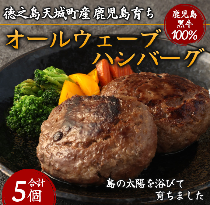 徳之島 天城町産 鹿児島育ち 鹿児島黒牛 オールウェーブハンバーグ 5個 和牛100% マイナビ