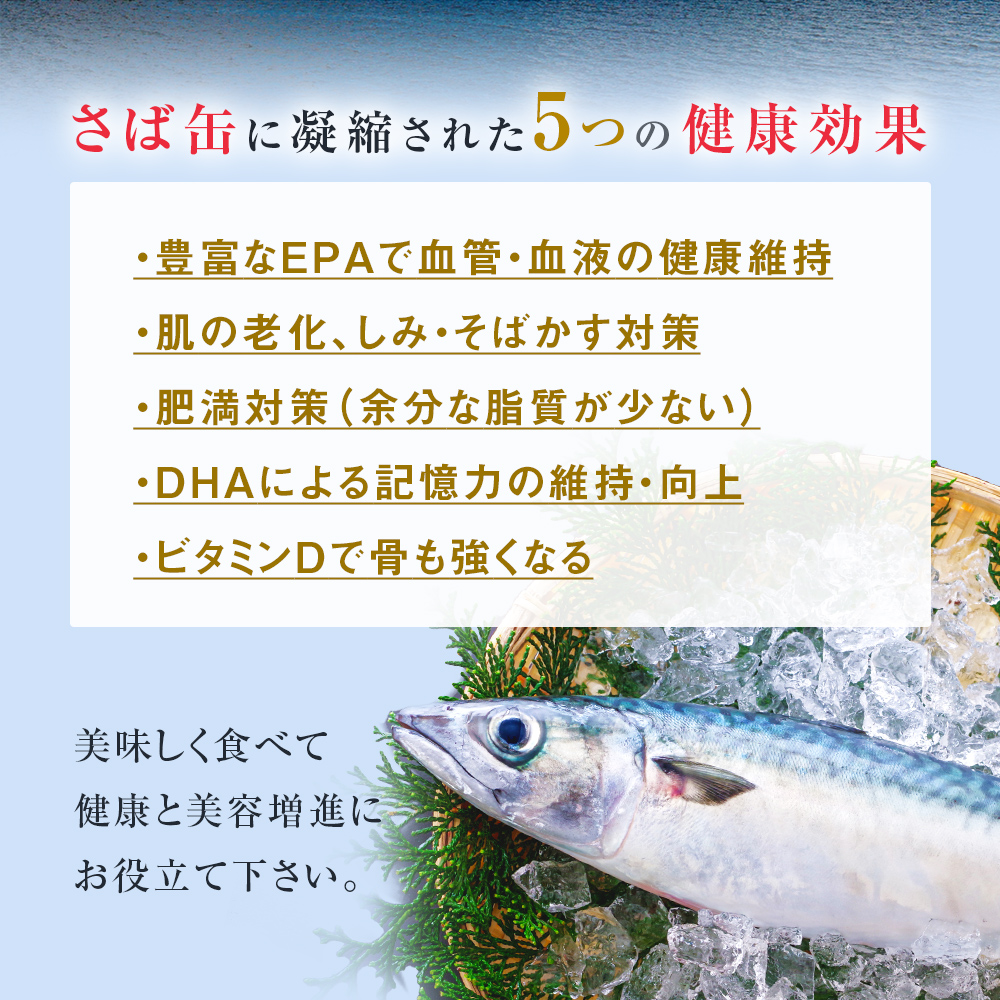【4月配送】缶詰 さば缶詰 味噌煮 12缶 サバ缶 鯖缶 さば缶 