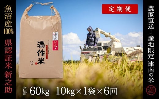 【 定期便 6ヶ月 】 米 10kg × 6回 令和7年産 新米 魚沼産 新之助 県認証米 特別栽培米 | しんのすけ お米 おこめ こめ コメ 白米 精米 おすすめ 新潟県 津南町