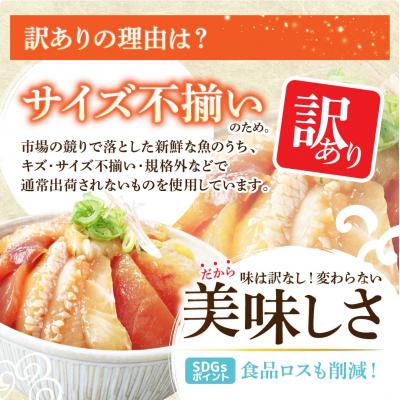 ふるさと納税 田野町 【四国一小さなまち】これが魚屋の漬け丼だ!〜海鮮ミックス〜80g×10パック |  | 03