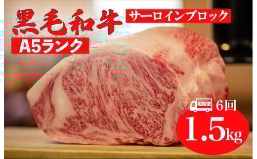 【全6回定期便】黒毛和牛 A5ランク サーロイン ブロック 1.5kg ステーキ用ソース付 サーロイン さーろいん ステーキ ブロック肉 和牛 サーロイン 贈答 ギフト 父の日 お中元
