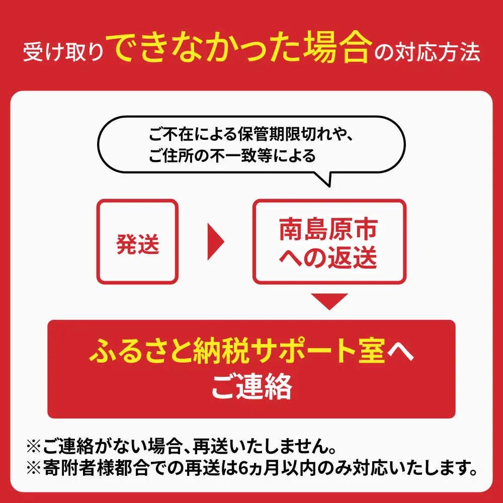 島原手延べそうめん　600g（6束×2袋）　食べ比べセット / 素麺 ソーメン 乾麺 / 南島原市 / 大平製麺[SGH001]