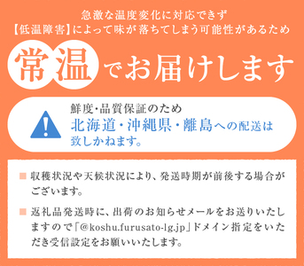 厳選契約農家の一級品シャインマスカット2kg以上【2024年発送】（SFL）C-430