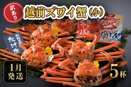 【先行予約】訳あり≪茹で≫越前ズワイ蟹(小) 5杯【2026年1月発送分】 [J-1605_01]