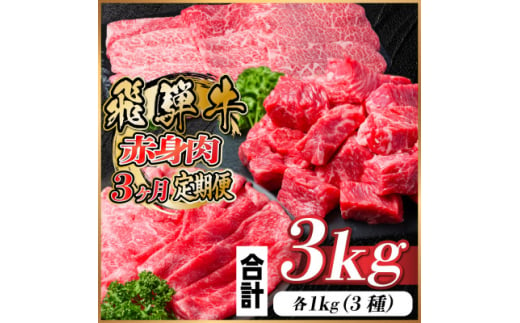 ＜毎月定期便＞飛騨牛 赤身肉定期便 計3kg全3回【4059529】