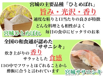 お米 【数量限定】宮城県産 三大銘柄 ブレンド米 5kg (5kg×1袋) 【araseki001】