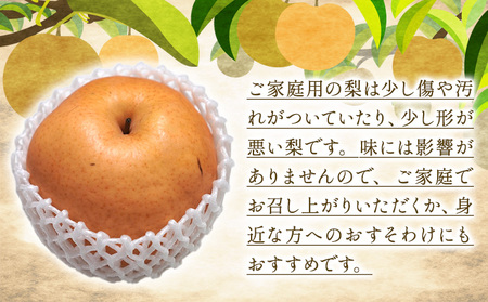 【先行予約】あたご梨 3～9玉 家庭用 約4kg 箱 石原果樹園 《11月中旬-12月下旬頃より発送予定》岡山県 浅口市 梨 なし 果物 フルーツ くだもの あたご 訳あり