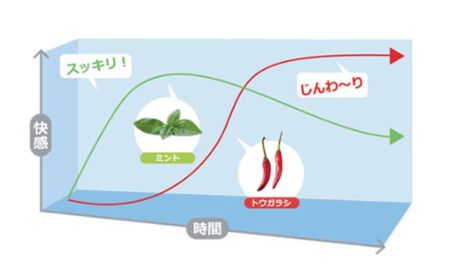 耳が初めて体験する気持ち良さ　プロの耳そうじローション　耳洗潔 20ml (約50回分) ×2本 耳そうじ　耳かき　爽快　すっきり　気持ちいい　業務用　理容   耳掃除 イヤークリーナー 気持ち良い 