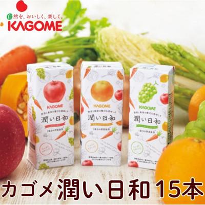 ふるさと納税 北杜市 カゴメ　潤い日和(3種)計15本