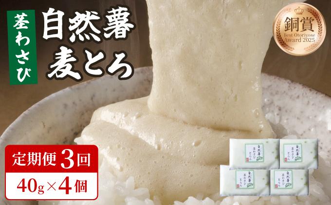 ＜定期便・全3回＞自然薯茎わさびとろろ 40g×4個|自然薯 小分け じねんじょ とろろ 山芋 やまいも 長芋 ながいも ご飯のお供 山葵 ワサビ おつまみ 酒の肴 山かけ 麦とろ そば うどん 鉄火