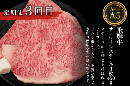 飛騨牛 ステーキ定期便 全3回 計約1.5kg A5 A4 ステーキソース リブロースステーキ ももステーキ サーロインステーキ リブロース モモ サーロイン ステーキ 牛 冷凍 和牛 牛肉 にく お