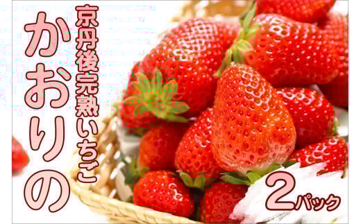【先行予約／数量限定】京都丹後産 完熟いちご（かおりの） 2パック（2026年3月中旬～発送）　 農家直送 イチゴ 苺 先行予約 期間限定 フルーツ くだもの 果物 ストロベリー　AM00667