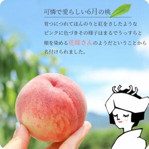 【2024年先行受付】旬を先取り!甘く可憐な「花嫁(はなよめ)」または「ちよひめ」約1kg 6月発送【配送不可地域：離島・沖縄県】【1017344】