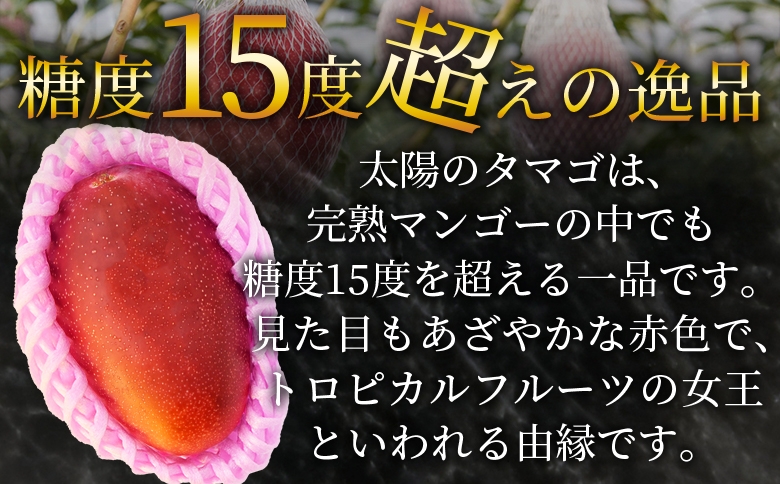 ＜宮崎県産 太陽のタマゴ A等級 A5Lサイズ×1玉（約700g）＞2025年4月下旬～2025年6月下旬迄に順次出荷【 太陽のタマゴ 完熟マンゴー 完熟 マンゴー フルーツ トロピカルフルーツ 果物