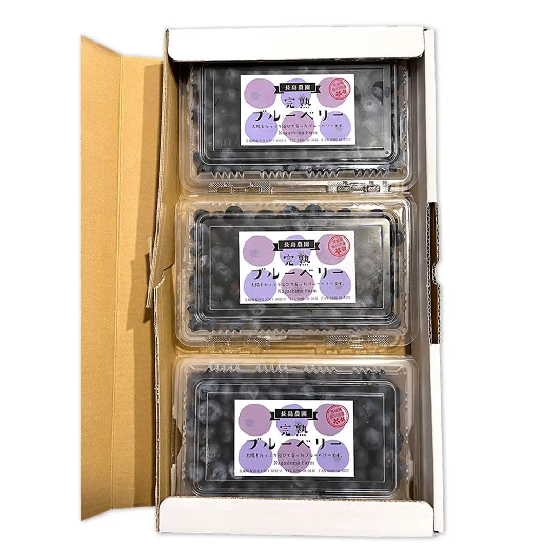 ブルーベリー1.2kg ( 400g × 3パック ) 【2026年6月から発送開始】 国産 茨城県産 ベリー フルーツ 果物 くだもの 自家製栽培[AK002sa]