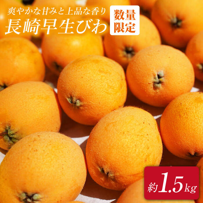 【ふるさと納税】【先行予約】【★数量限定★】 西海市産 びわ （長崎早生） 約1.5kg ＜谷添正義＞ [CDM003] びわ 琵琶 ビワ 果物 フルーツ 長崎 西海市 今が旬 くだもの
