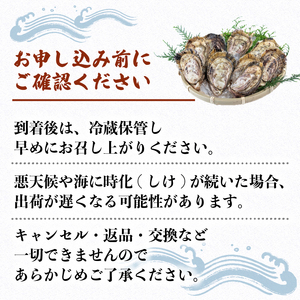 【生食用】 牡蠣 25個 生牡蠣 生食 殻付き 英虞湾産 シングルシードオイスター 「アマテラス」 牡蠣