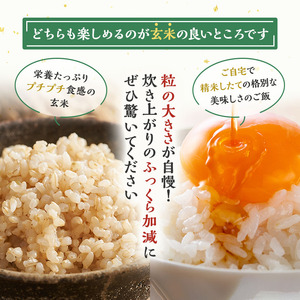 【新米先行予約】玄米 令和7年 秋田県産 あきたこまち 10kg (5kg×2袋) 新米 米 お米 おこめ こめ コメ 令和7年産 ブランド米 ご飯 秋田 秋田県 能代市