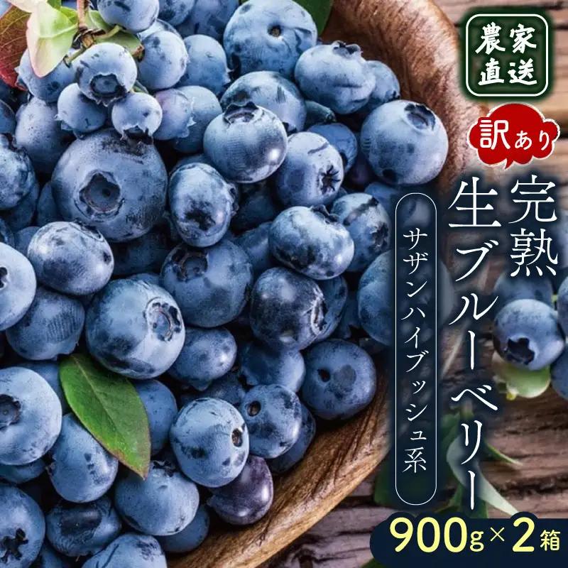 【先行予約】訳あり完熟生ブルーベリー サザンハイブッシュ系 1800g (2027年4月～発送) | フルーツ 果物 ベリー