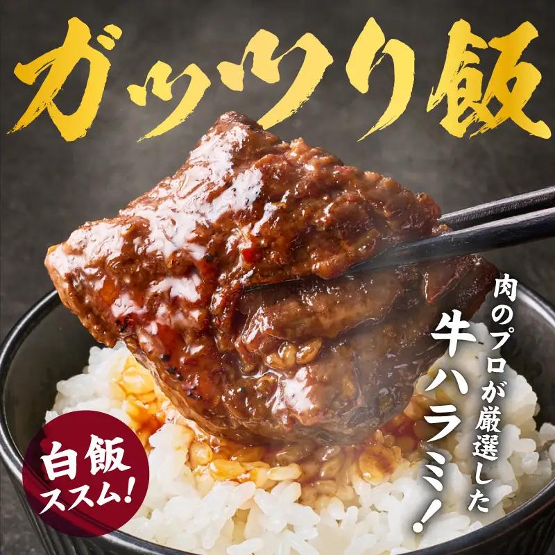 ガツめし牛ハラミ 600g 追いダレ漬け