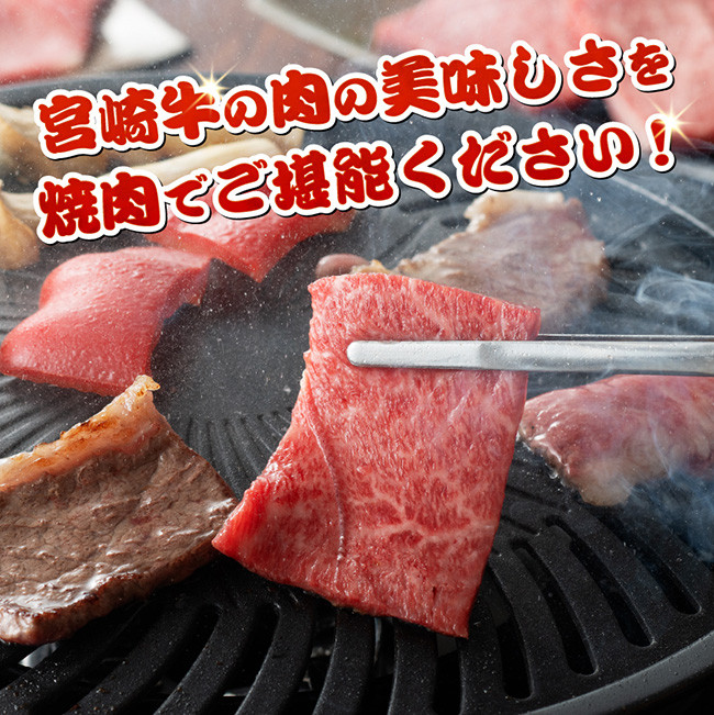 宮崎牛赤身焼肉 800g (400g×2)　牛肉[E11120]