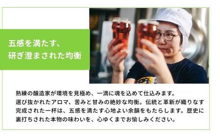 ビール 定期便 12ヵ月 クラフトビール 350ml 24本 3種 アルコール 缶ビール 定期 12回