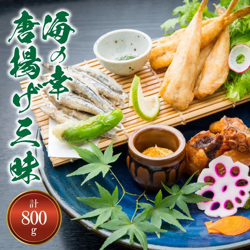 S011-018A_【天草産】海の幸唐揚げ三昧