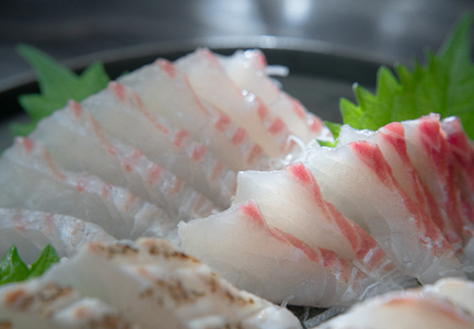 【高知県 大月町産】 黒潮の海で育った真鯛のフィーレ(皮無し)